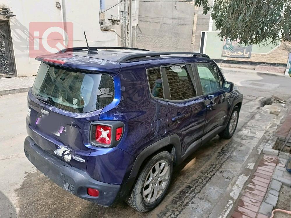 جيب رينيجيد